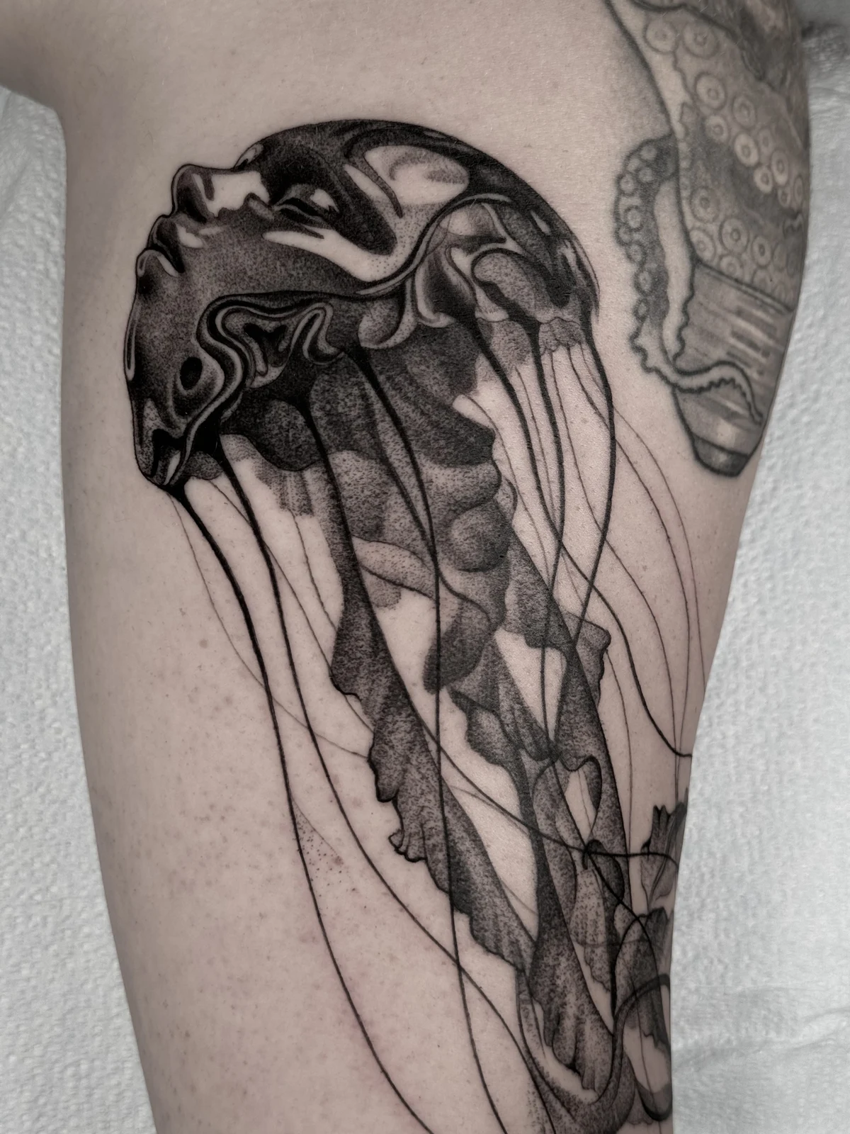 Metamorfosis de Medusa Marina — Realismo Somático Orgánico · Black & Grey